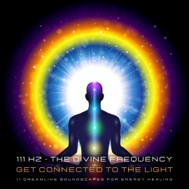 Hörbuch 111 Hertz - The Divine Frequency - Get Connected To The Light  - Autor Powerful Methods to Awaken Your Inner Healer   - gelesen von Powerful Methods to Awaken Your Inner Healer
