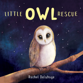 Hörbuch Little Owl Rescue  - Autor Rachel Delahaye   - gelesen von Helen Keeley