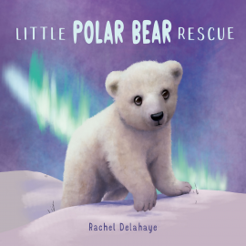 Hörbuch Little Polar Bear Rescue  - Autor Rachel Delahaye   - gelesen von Helen Keeley