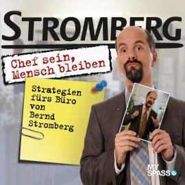 Hörbuch Stromberg - Chef sein, Mensch bleiben  - Autor Ralf Husmann   - gelesen von Schauspielergruppe
