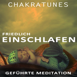 Hörbuch Geführte Meditation  - Autor Raphael Kempermann   - gelesen von Oliver Bedorf