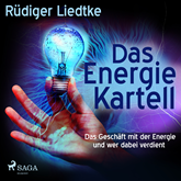 Das Energie Kartell - Das Geschaeft mit der Energie und wer dabei verdient