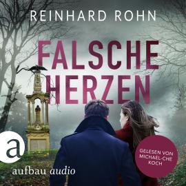 Hörbuch Falsche Herzen - Jan Schiller ermittelt, Band 1 (Ungekürzt)  - Autor Reinhard Rohn   - gelesen von Michael-Che Koch