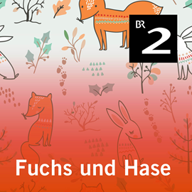 Hörbuch Fuchs und Hase  - Autor Renus Berbig   - gelesen von Sunnyi Melles