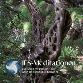 Hörbuch IFS-Meditationen zur Arbeit mit inneren Teilen nach Dr. Richard C. Schwartz  - Autor Richard C. Schwartz   - gelesen von Jaqueline Queck