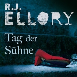 Hörbuch Tag der Sühne  - Autor R.J. Ellory   - gelesen von Jürgen Holdorf