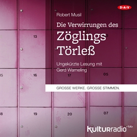 Hörbuch Die Verwirrungen des Zöglings Törleß  - Autor Robert Musil   - gelesen von Gerd Wameling