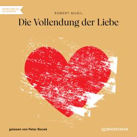 Hörbuch Die Vollendung der Liebe (Ungekürzt)  - Autor Robert Musil   - gelesen von Peter Bocek