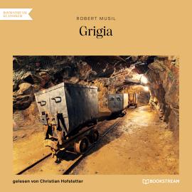 Hörbuch Grigia (Ungekürzt)  - Autor Robert Musil   - gelesen von Christian Hofstetter