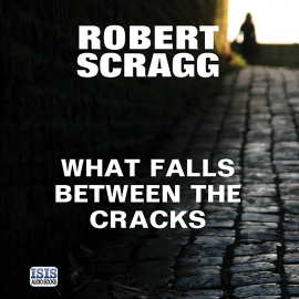 Hörbuch What Falls Between the Cracks  - Autor Robert Scragg   - gelesen von David Thorpe
