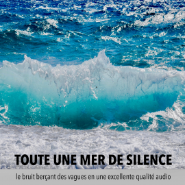Hörbuch une mer de tranquillité, un océan de calme, toute une mer de silence  - Autor Robert van Dyck   - gelesen von Emmanuel Teillet
