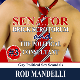 Hörbuch Senator Brick Scrotorum and the Political Consultant - Gay Political Sex Scandals, book 3 (Unabridged)  - Autor Rod Mandelli   - gelesen von Kirk Hall
