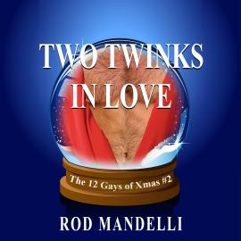Hörbuch Two Twinks In Love - 12 Gays of Xmas, book 2 (Unabridged)  - Autor Rod Mandelli   - gelesen von Kirk Hall
