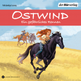 Ostwind - Ein gefährliches Rennen
