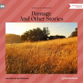 Hörbuch Damage - And Other Stories (Unabridged)  - Autor Rosalie Parker   - gelesen von Ant Richards