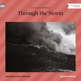 Hörbuch Through the Storm (Unabridged)  - Autor Rosalie Parker   - gelesen von Peter Silverleaf