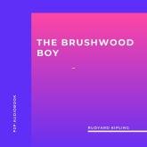 The Brushwood Boy (Unabridged)