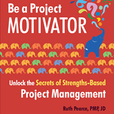 Be a Project Motivator - Unlock the Secrets of Strengths-Based Project Management (Unabridged)