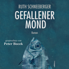 Hörbuch Gefallener Mond  - Autor Ruth Schneeberger   - gelesen von Peter Bocek