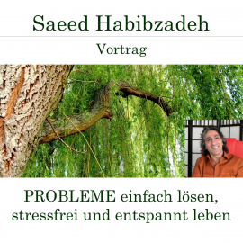 Hörbuch Probleme einfach lösen - Stressfrei und entspannt leben  - Autor Saeed Habibzadeh   - gelesen von Saeed Habibzadeh