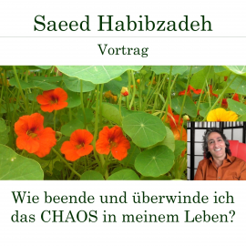 Hörbuch Wie beende und überwinde ich das Chaos in meinem Leben?  - Autor Saeed Habibzadeh   - gelesen von Saeed Habibzadeh
