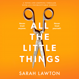 Hörbuch All The Little Things  - Autor Sarah Lawton   - gelesen von Katie Villa