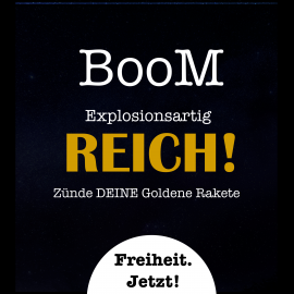 Hörbuch Boom - explosionsartig reich!  - Autor Sascha Reinhardt   - gelesen von Sascha Zukunftsvisionär Reinhardt