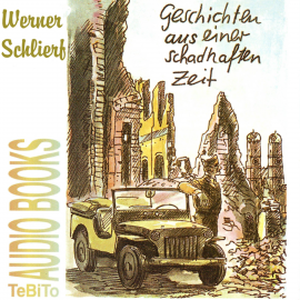 Hörbuch Geschichten aus einer schadhaften Zeit  - Autor Schlierf Werner   - gelesen von Schlierf Werner