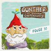 Gunther, der grummelige Gartenzwerg, Folge 30: Rutschpartie