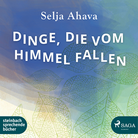 Hörbuch Dinge, die vom Himmel fallen  - Autor Selja Ahava   - gelesen von Beate Rysopp