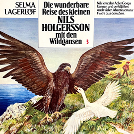 Hörbuch Nils Holgersson, Folge 3: Die wunderbare Reise des kleinen Nils Holgersson mit den Wildgänsen  - Autor Selma Lagerlöf, Peter Folken   - gelesen von Schauspielergruppe