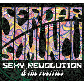 Hörbuch Sexy Revolution and The Politics  - Autor Serdar Somuncu   - gelesen von Serdar Somuncu