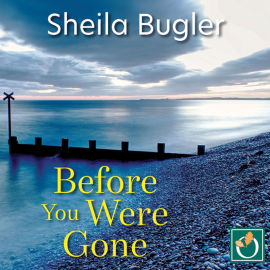 Hörbuch Before You Were Gone  - Autor Sheila Bugler   - gelesen von Helen Barford