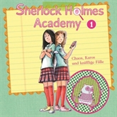 Chaos, Karos und knifflige Fälle (Sherlock Holmes Academy 1)