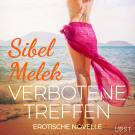 Hörbuch Verbotene Treffen - Erotische Novelle  - Autor Sibel Melek   - gelesen von Augustus Mingenroth