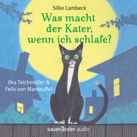 Hörbuch Was macht der Kater, wenn ich schlafe? (Ungekürzte Lesung)  - Autor Silke Lambeck   - gelesen von Schauspielergruppe