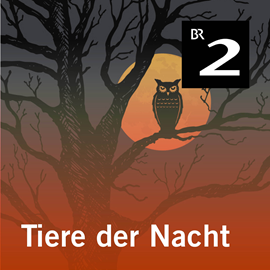 Hörbuch Tiere der Nacht  - Autor Silke Wolfrum   - gelesen von Gerd Lohmeyer