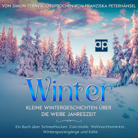 Hörbuch Winter  - Autor Simon Ternyik   - gelesen von Franziska Peterhänsel