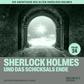 Hörbuch Sherlock Holmes und das Schicksals Ende (Die Abenteuer des alten Sherlock Holmes, Folge 24)  - Autor Sir Arthur Conan Doyle   - gelesen von Schauspielergruppe