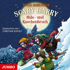 Hörbuch Scary Harry. Hals- und Knochenbruch  - Autor Sonja Kaiblinger   - gelesen von Christian Rudolf
