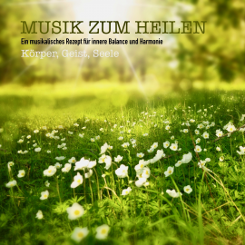 Hörbuch Musik zum Heilen: Ein musikalisches Rezept für innere Balance und Harmonie  - Autor Sound Healing Association   - gelesen von Stephan Müller