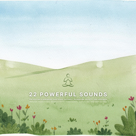 Hörbuch 22 Powerful Sounds for Healing & Unwinding: Deep Sleep, Insomnia, Depression, Anxiety, and Happiness  - Autor Sounds for Healing and Unwinding   - gelesen von Sounds for Healing and Unwinding