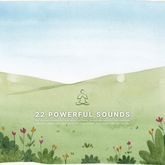 22 Powerful Sounds for Healing & Unwinding: Deep Sleep, Insomnia, Depression, Anxiety, and Happiness