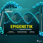 Spektrum Kompakt: Epigenetik - Der Sprung in die praktische Anwendung