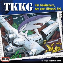 Hörbuch TKKG - Folge 122: Der Goldschatz, der vom Himmel fiel  - Autor Stefan Wolf   - gelesen von TKKG.