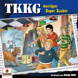 Hörbuch TKKG - Folge 223: Betrüger Super Sauber  - Autor Stefan Wolf  