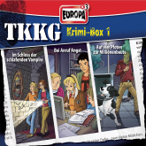 TKKG Krimi-Box 01 (Folgen 117/120/133)