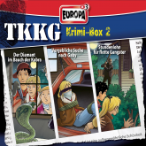 TKKG Krimi-Box 02 (Folgen 115/124/131)