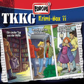 TKKG Krimi-Box 11 (Folgen 121/137/142)