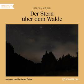 Hörbuch Der Stern über dem Walde (Ungekürzt)  - Autor Stefan Zweig   - gelesen von Karlheinz Gabor